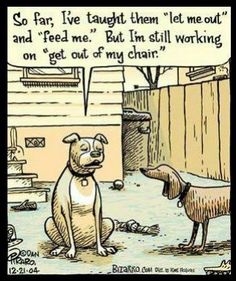 e3b7f78354d45d9886c95440f61c031a