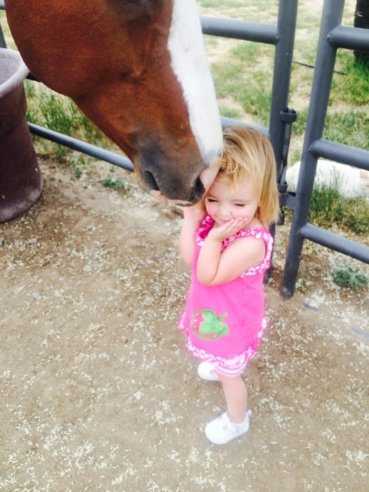 Maverick nuzzling Stevie.jpg